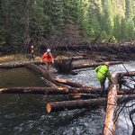 Helicopters Place Thousands Of Logs In Washington Streams For Fish – BPA.gov, November 2018